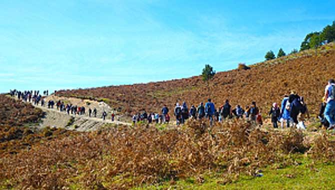 Doğaseverlerden şehrin en yüksek noktasına yolculuk