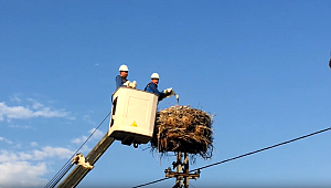 Enerji çalışanları haftası başladı!