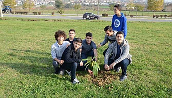 Meyve fidanları toprakla buluştu