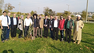 SAKARYA 15 TEMMUZ MİLLİ İRADE DERNEĞİ AĞAÇLANDIRDI