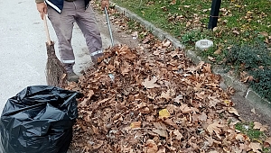 Sapanca’da Genel Temizlik