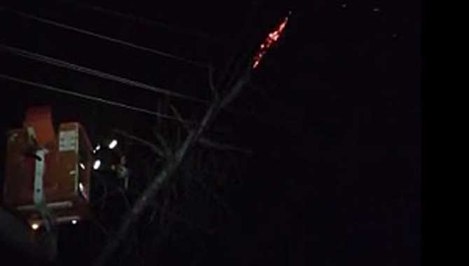 KUVVETLİ LODOSTA SEDAŞ’TAN KESİNTİSİZ MÜCADELE