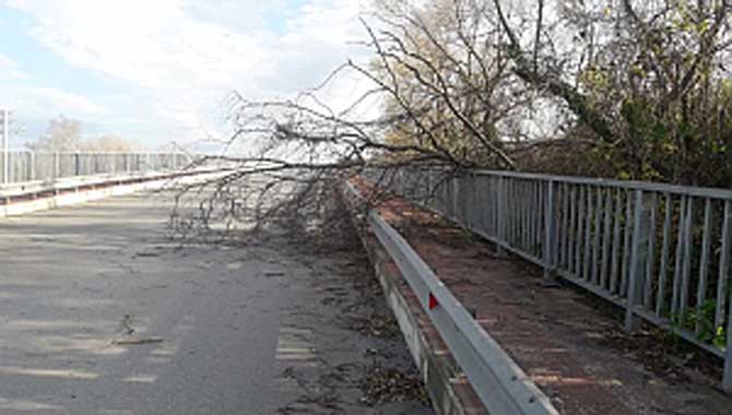 Sapanca’da Lodos Sonrası Hummalı Çalışma