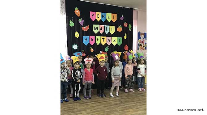 Söğütlü Halime Çavuş'ta Yerli Malı Sergisi