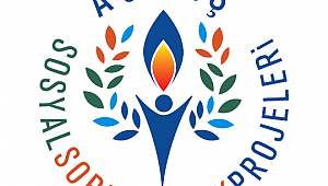 AGDAŞ Çalışanları Sokak Köpekleri İçin Kulübe Yaptı