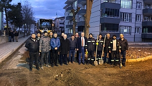 Hendek her alanda gelişiyor