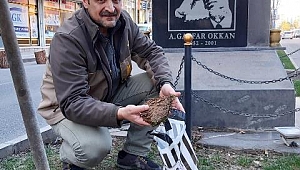 HENDEK ŞEHİT A.GAFFAR OKKAN’I ANIYOR 