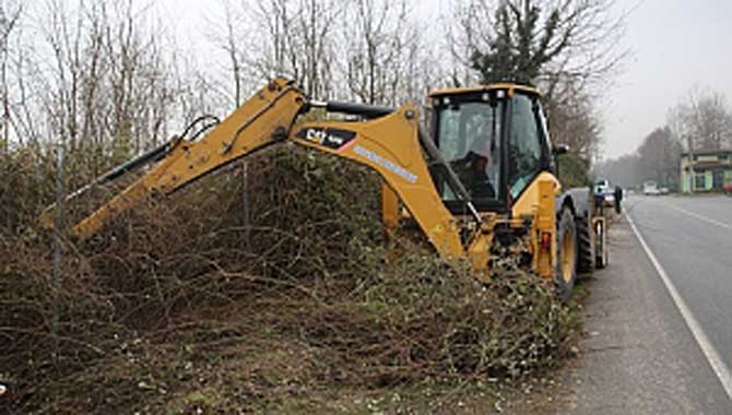 Park ve Bahçeler Budama Çalışmalarına Devam Ediyor 