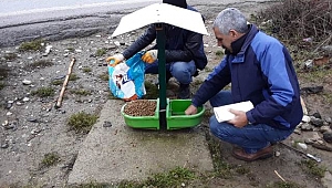SOĞUK HAVALARDA SOKAK HAYVANLARI AÇ KALMAYACAK