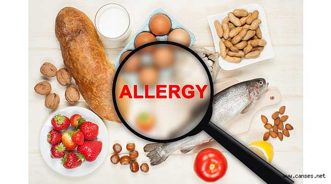 Besin alerjisinden korunmanın yolları