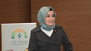 FINDIK HENDEK’İN VAZGEÇİLMEZİDİR 