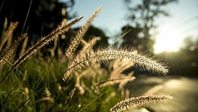 İlk Cemre Düştü! Peki, Cemre Düşmesi Ne Demek 