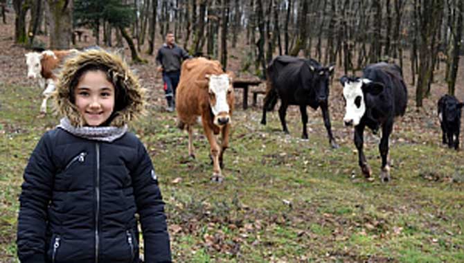 SUBÜ ile yürümek güzeldir 