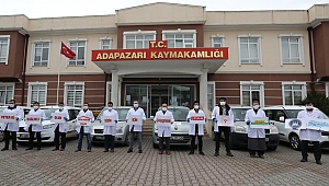 Adapazarı Çınarlarına Destek Oluyor 