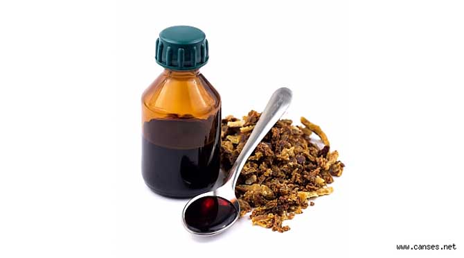 Bağışıklık Sisteminin Destekçisi: Propolis