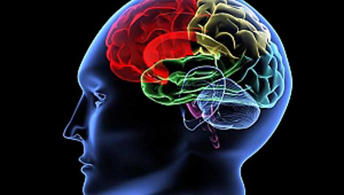 Dikkat! Bu belirtiler Beyin Sisini işaret ediyor
