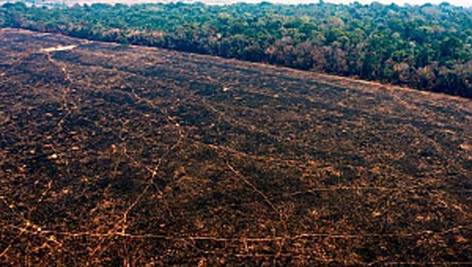 ​İNSAN DOĞANIN BİR PARÇASI OLDUĞUNU HATIRLAMALI 
