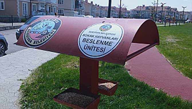 Ramazan’da Sokak Hayvanları da Unutulmuyor 