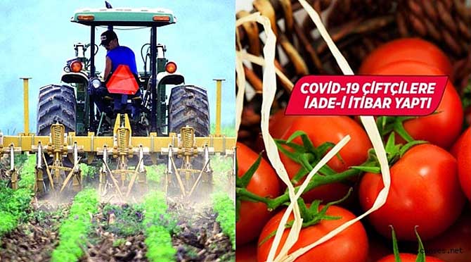 Covid-19 çiftçileri tekrar milletin efendisi yaptı