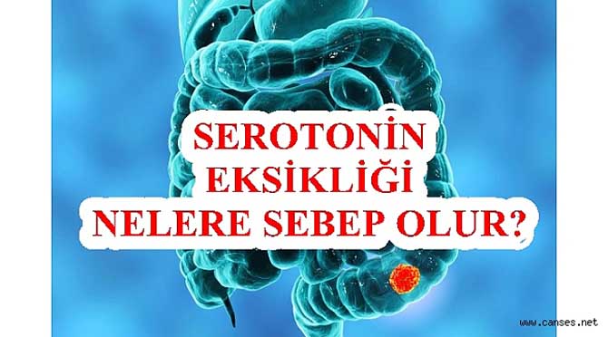 Serotonin eksikliği kabızlığa yol açıyor