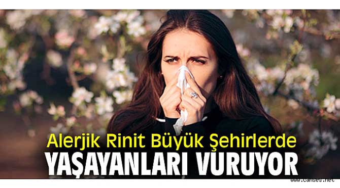 Alerjik Rinit Büyük Şehirlerde Yaşayanları Vuruyor
