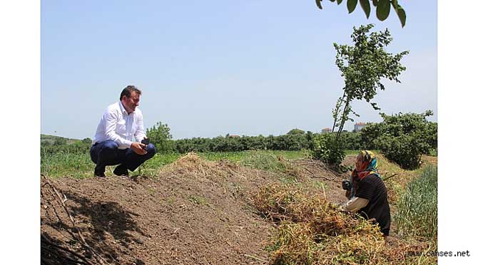 BAŞKAN GÜNDOĞDU ÇALIŞMALARI SIK SIK YERİNDE İNCELİYOR