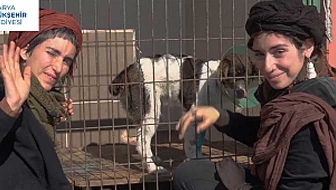 Geçici Bakımevinde ‘Bir Köpeğin Kurtuluş Öyküsü’ 