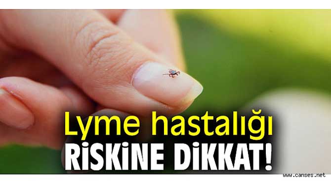 LYME HASTALIĞI RİSKİNE DİKKAT!
