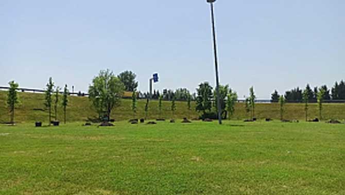 Şehir çiçek açıyor 