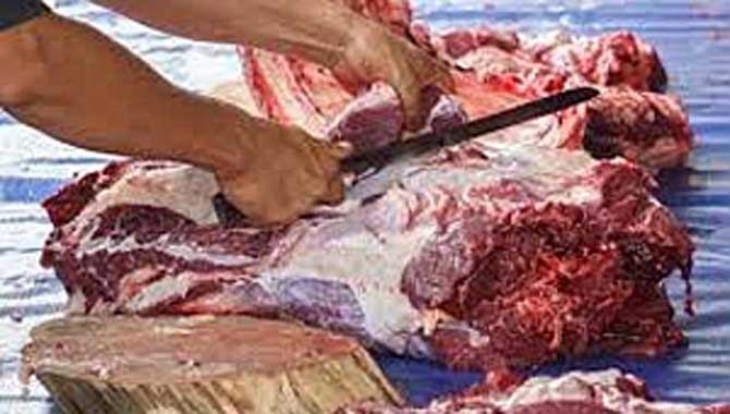 KURBAN BAYRAMI HAZIRLIKLARI 