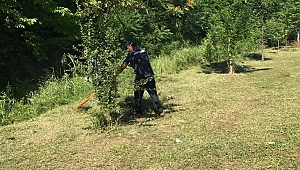 Park Bahçeler Çalışıyor, Sapanca Güzelleşiyor 