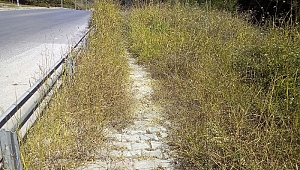 Büyükşehir temizlik çalışmalarını titizlikle sürdürüyor