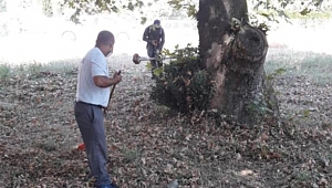 Sapanca Belediyesi’nden Okul Bahçelerine Bakım