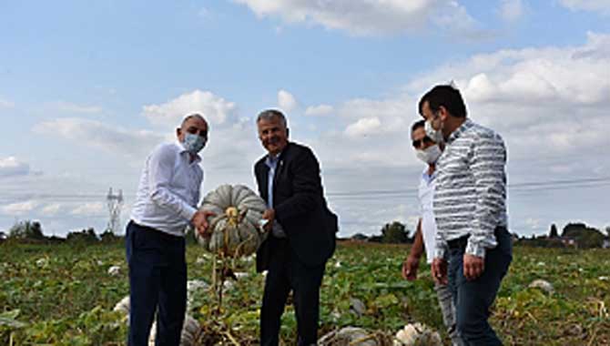 BAŞKAN KILIÇ O ALANLARI GEZDİ