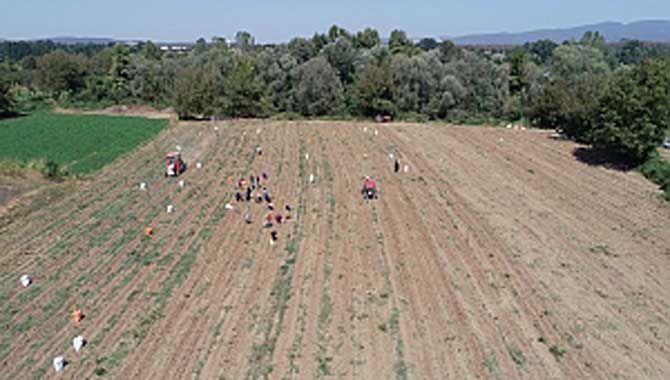 İHTİYAÇ SAHİPLERİNE DESTEK SÜRÜYOR 
