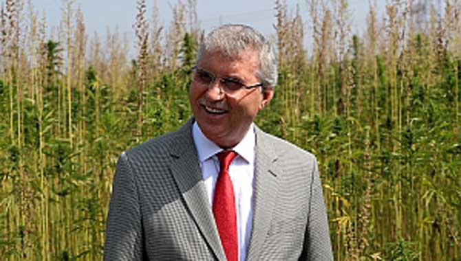 “Kenevir sayısız faydası olan mucizevi bir bitkidir” 