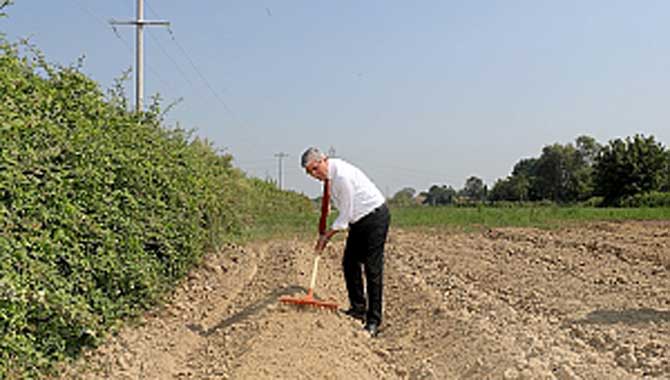 Salep üretimi için tohumlar toprakla buluştu 