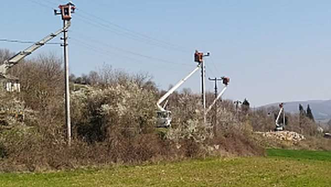 SEDAŞ, kanatlı dostlarımız için önlemlerini artırıyor