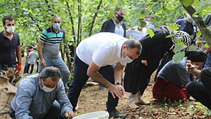 Vali Çetin Oktay Kaldırım Kocaali İlçesini Ziyaret Etti 