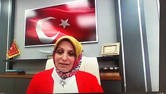 Fizik Zümresiyle Çevrim İçi Toplantı 