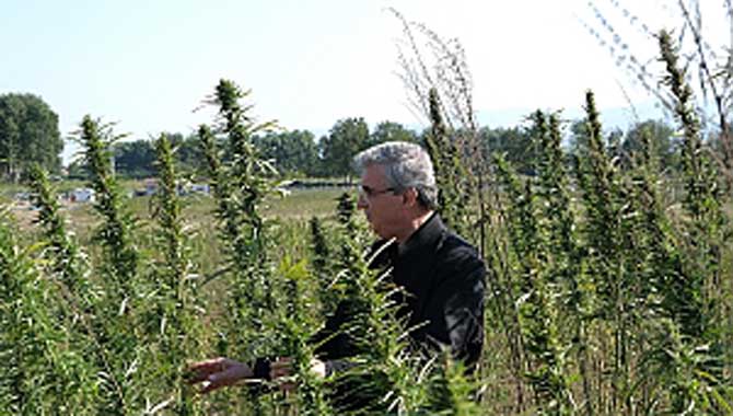 İstihdam ve ihracat katkısı 