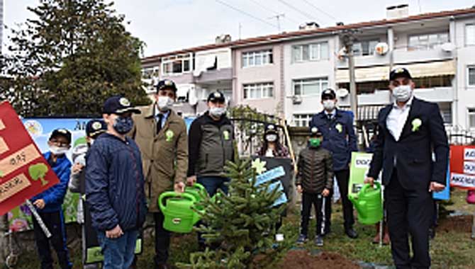 FİDANLAR TOPRAKLA BULUŞTU 