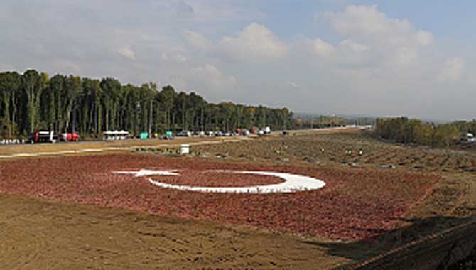 Fidanlar toprakla buluştu 