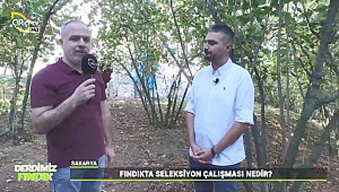 Fındıkta verim ve kaliteyi arttıracak çalışmalar 