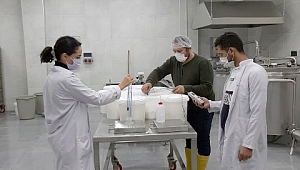 Pamukova’ya özgü süt ürünleri geliştirilecek