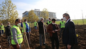 Serdivan’da Meyve Bahçeleri