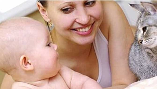 Evcil hayvan alerjisi nasıl olur?