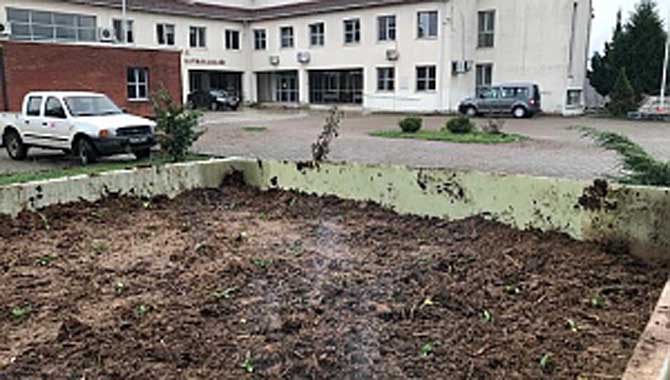 Karapürçek'te Salep Yetiştirilecek