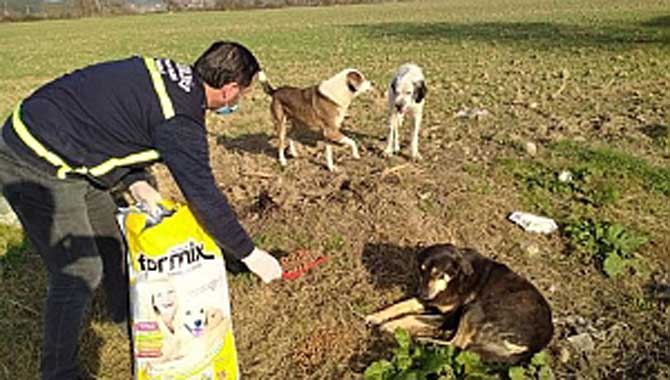 Kısıtlama Günlerinde Tüm Ekipler Sahada 