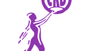 Silkinip Türkiye cephesinde mevzilenin 